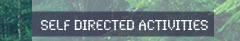 Self Directed Activities