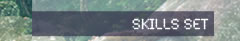 skills set