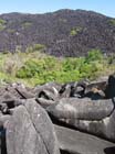 BlackMountain
