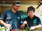 NurseryVolunteers
