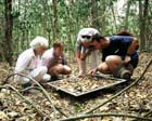 SeedCollecting