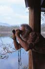 BirdwatcherHastiesSwamp