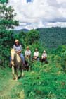 Horseriding