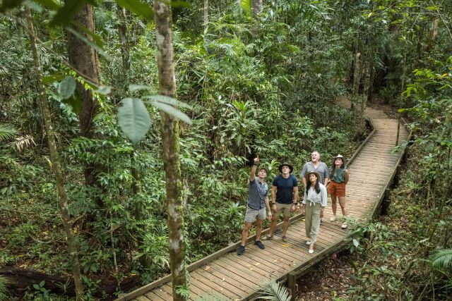 Group of people on a walkway in a rainforest.