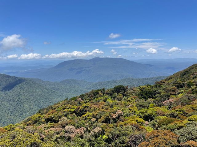 Maintains covered in forest going to the horizon on a sunny day.