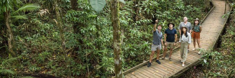Group of people on a walkway in a rainforest.