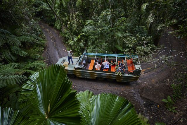 Aerial view of all-terrain vehicle in rainforest.
