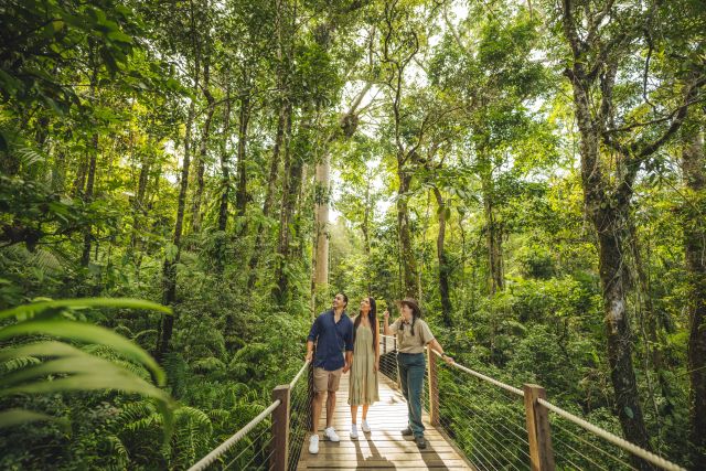Group of people on a walkway in a rainforest.