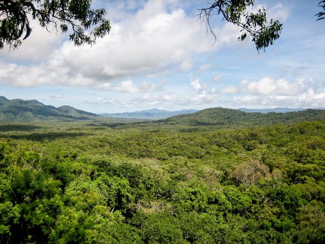 View to the hinterland across undulating rainforest-clad hills