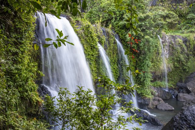Waterfall in the rainforest.