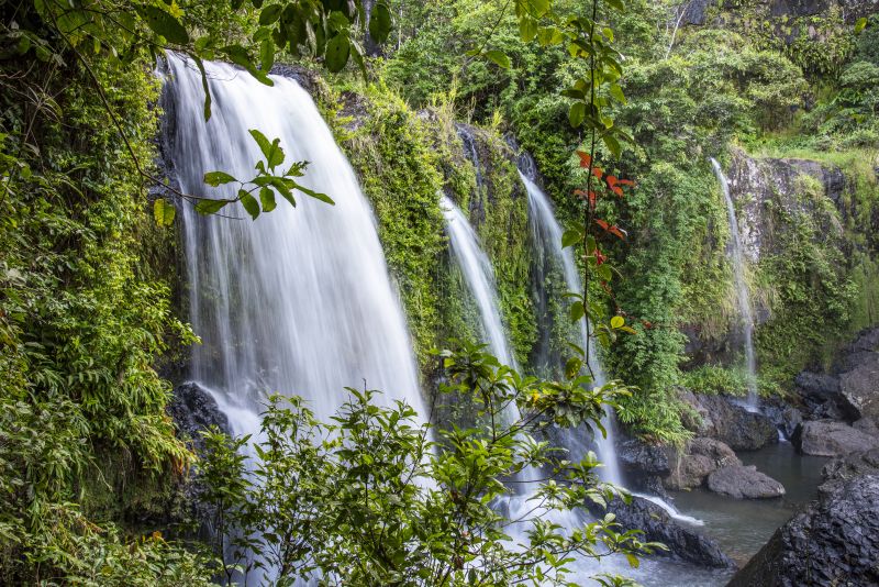 Waterfall in the rainforest.