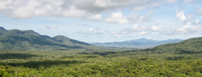 View to the hinterland across undulating rainforest-clad hills