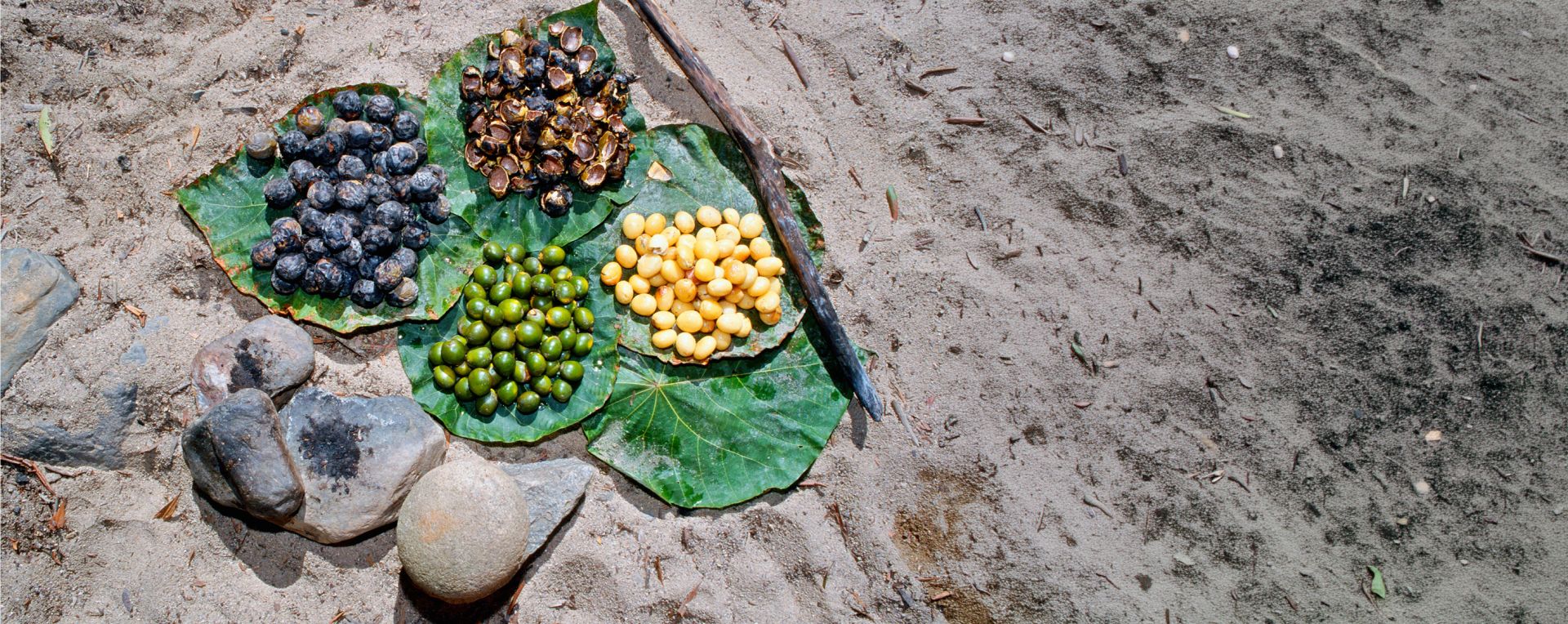 Rainforest fruits displayed in separate piles on leaves.