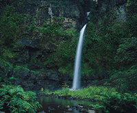 Nandroya Falls (Photo: WTMA)