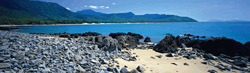 Wangetti Beach (Photo: Steven Nowakowski)