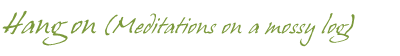Hang on (Meditations on a mossy log)
