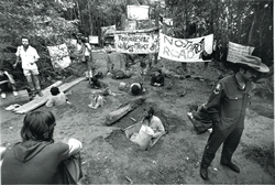 Cape Tribulation blockade 1983-1984 (Photo used with permission from James Cook University Library, Copyright 2008. All rights reserved). 