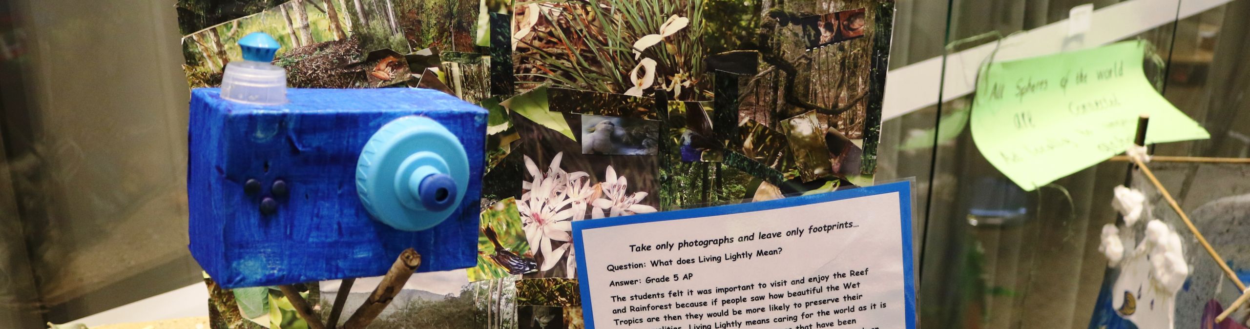 Take Only Photographs - Eco-Art
Photographer: Wet Tropics Management Authority