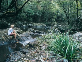 Wet Tropics Great Walks 
Photographer: EPA