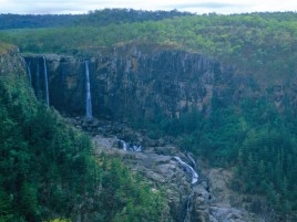 Wet Tropics Great Walk
Photographer: EPA