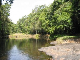 Goolagan Creek Walk
Photographer: WTMA