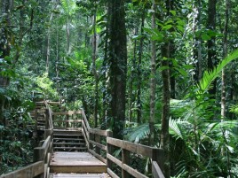 Jindalba Boardwalk
Photographer: Campbell Clarke