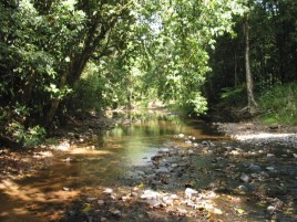 Henrietta Creek To Goolagan Creek Walk
Photographer: WTMA