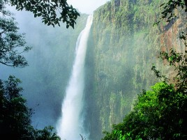 Wallaman Falls
Photographer: Tourism Queensland