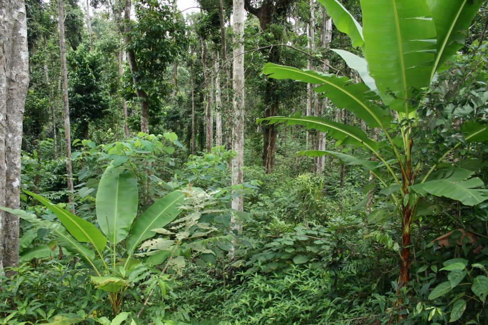 Wet Tropics Management Authority