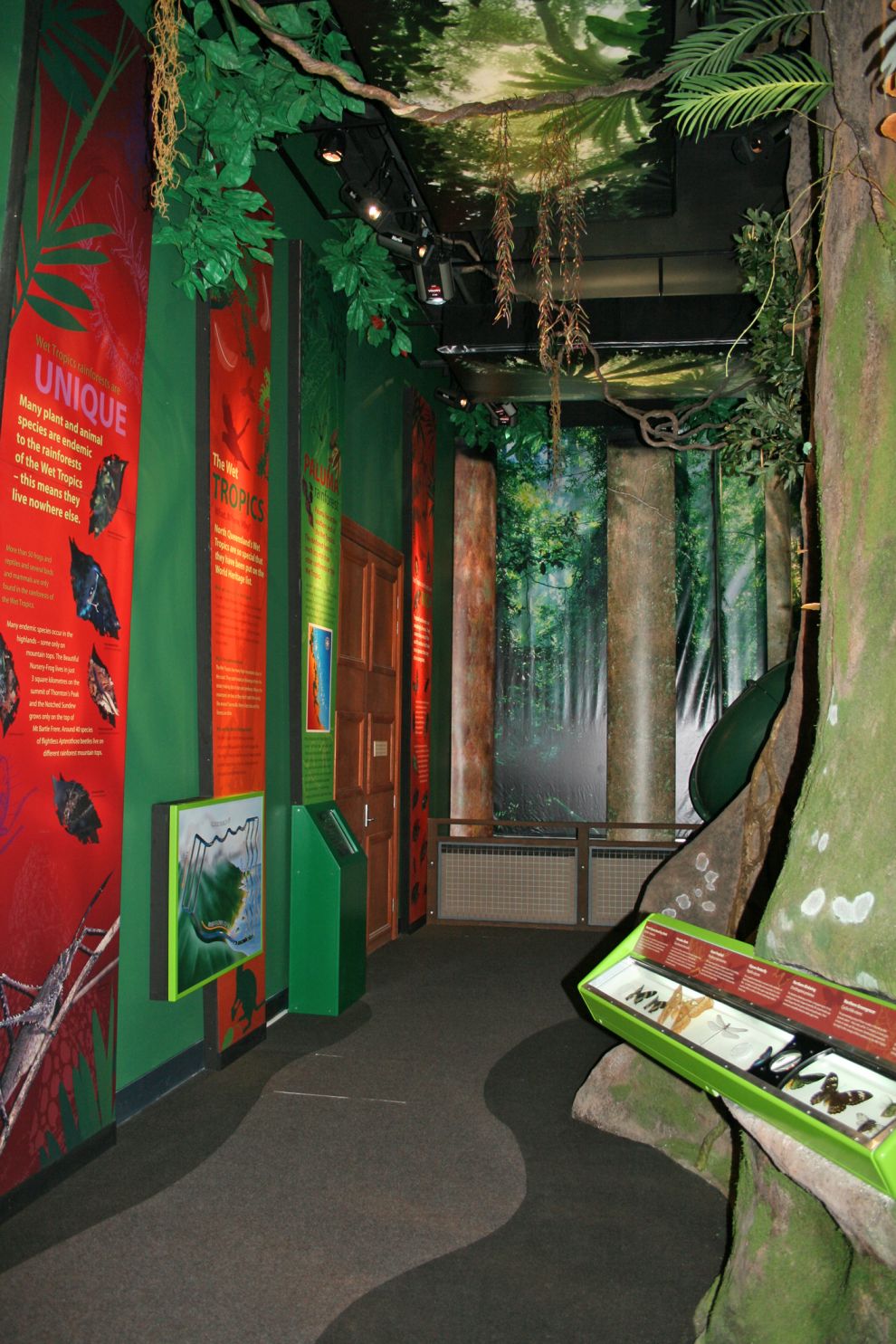  Queensland Tropical Museum Rainforest Exhibit opening, Townsville, December 2007
Photographer: Campbell Clarke