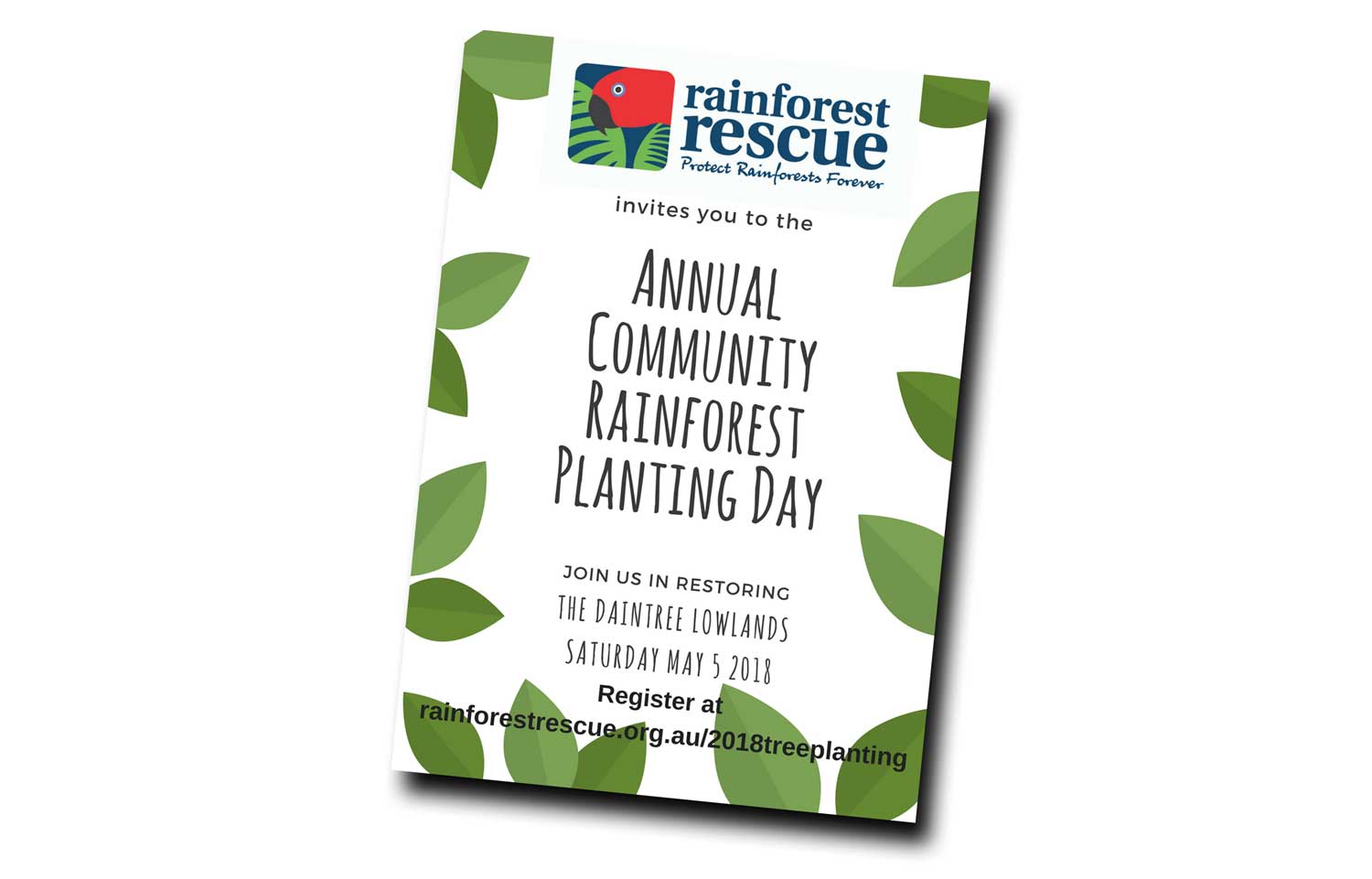 Rainforest Rescue tree planting day