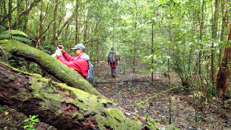 Rugged rainforest hides forgotten plane crash site