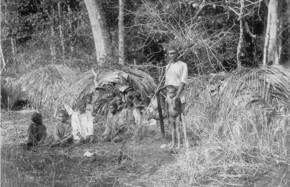 Bloomfield Aboriginal Camp
Photographer: Cairns Historical Society